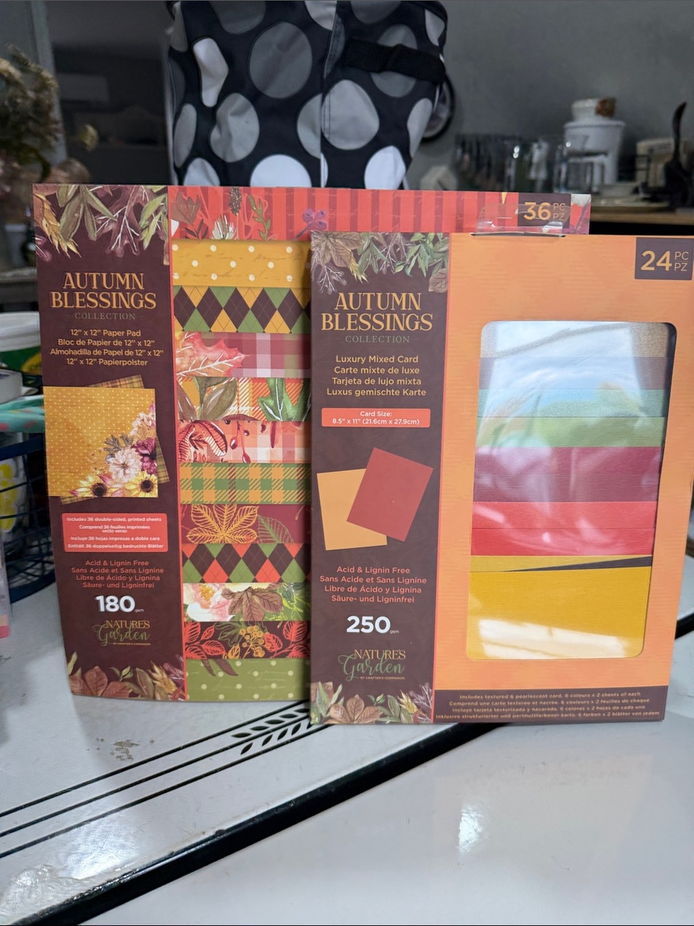 Crafters Companion Nature’s Garden Autumn Blessings Paper Pad & Mixed Card Pack